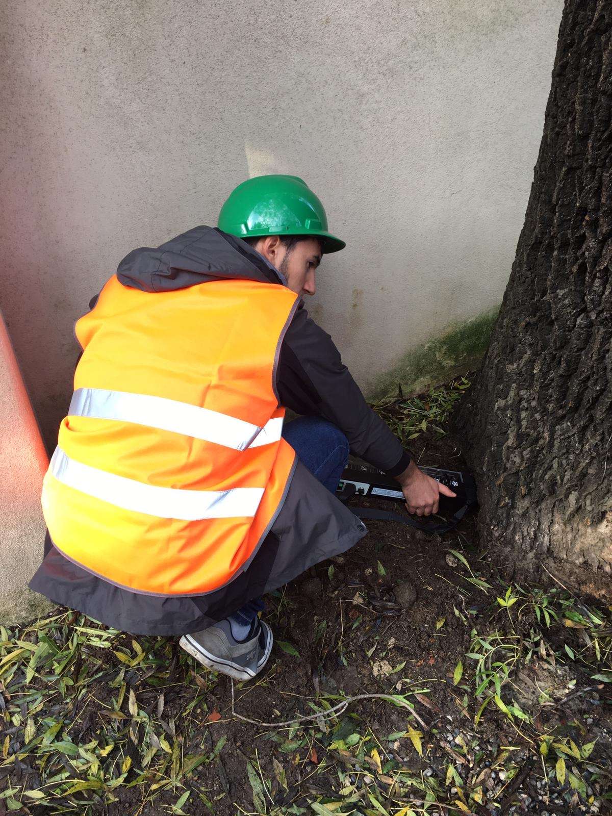 Il Dottore Agronomo Alessandro Puddu mentre effettua una valutazione di stabilità di un albero