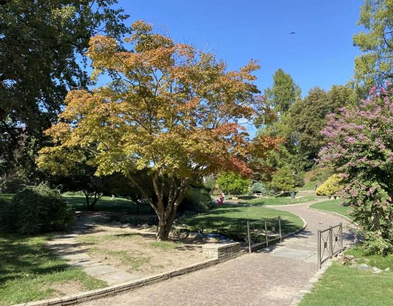 Progettazione di giardini