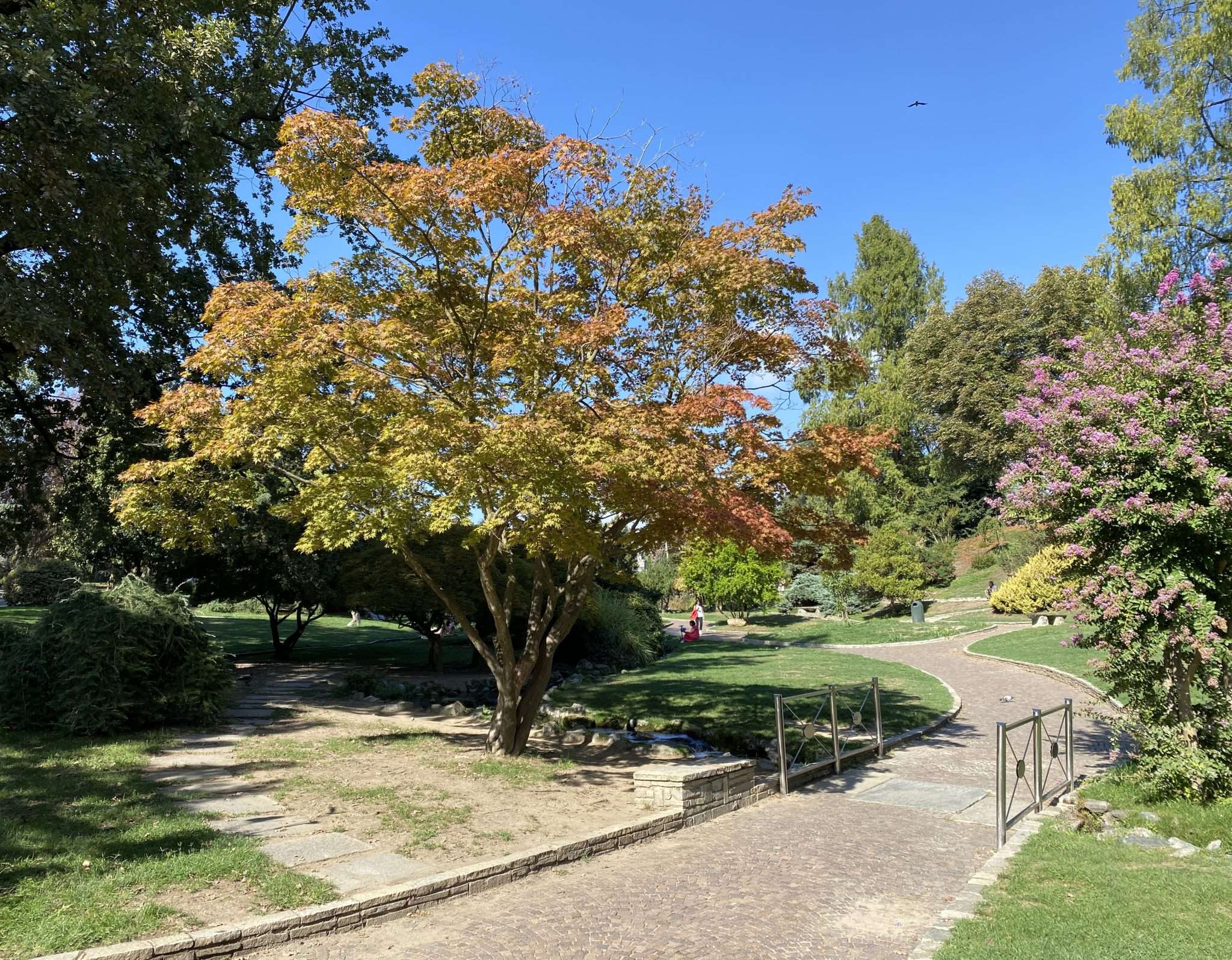 Progettazione di giardini